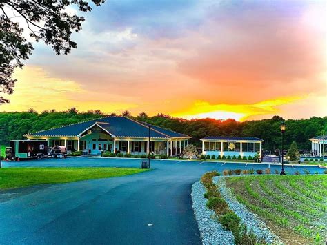 Blue ridge estate vineyard - Blue Ridge Winery is nestled in the country side of Saylorsburg, PA, overlooking the Vineyards, with a beautiful valley view of a Christmas …